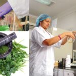 Ayurvedic Medicine Manufacturing:&hellip;