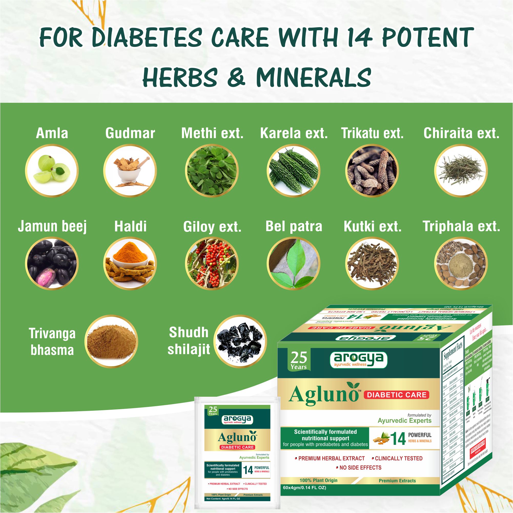 Arogya Agluno Powder for Diabetic Care 60 sachets of 4gm Each - Image 3