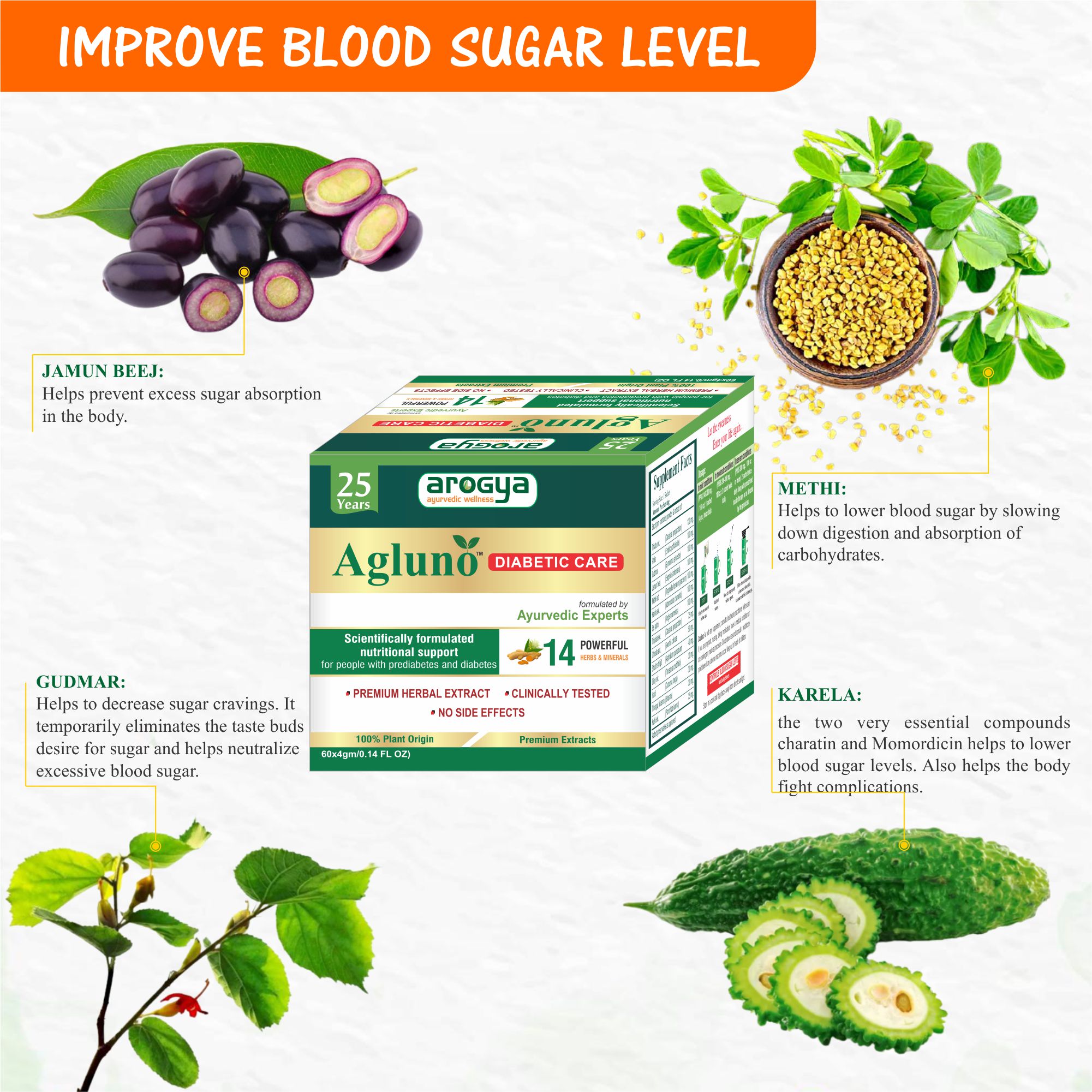 Arogya Agluno Powder for Diabetic Care 60 sachets of 4gm Each - Image 6