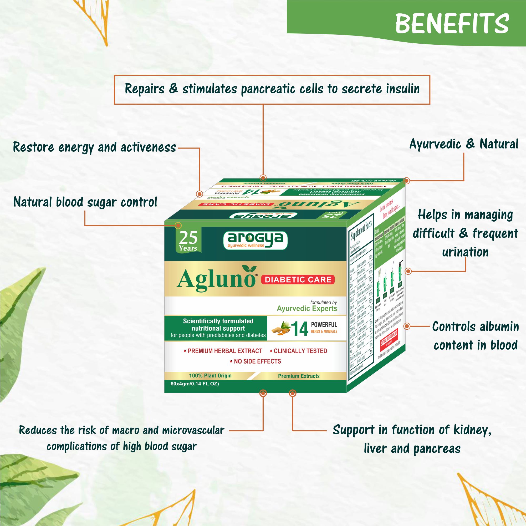 Arogya Agluno Powder for Diabetic Care 60 sachets of 4gm Each - Image 7