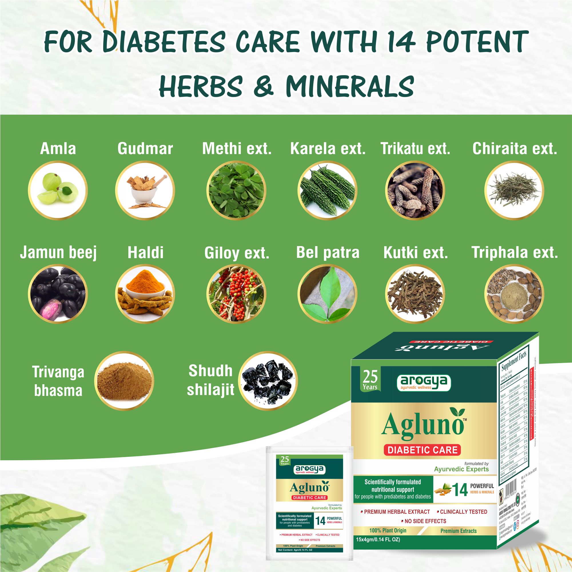 Ayurvedic Pharma Company