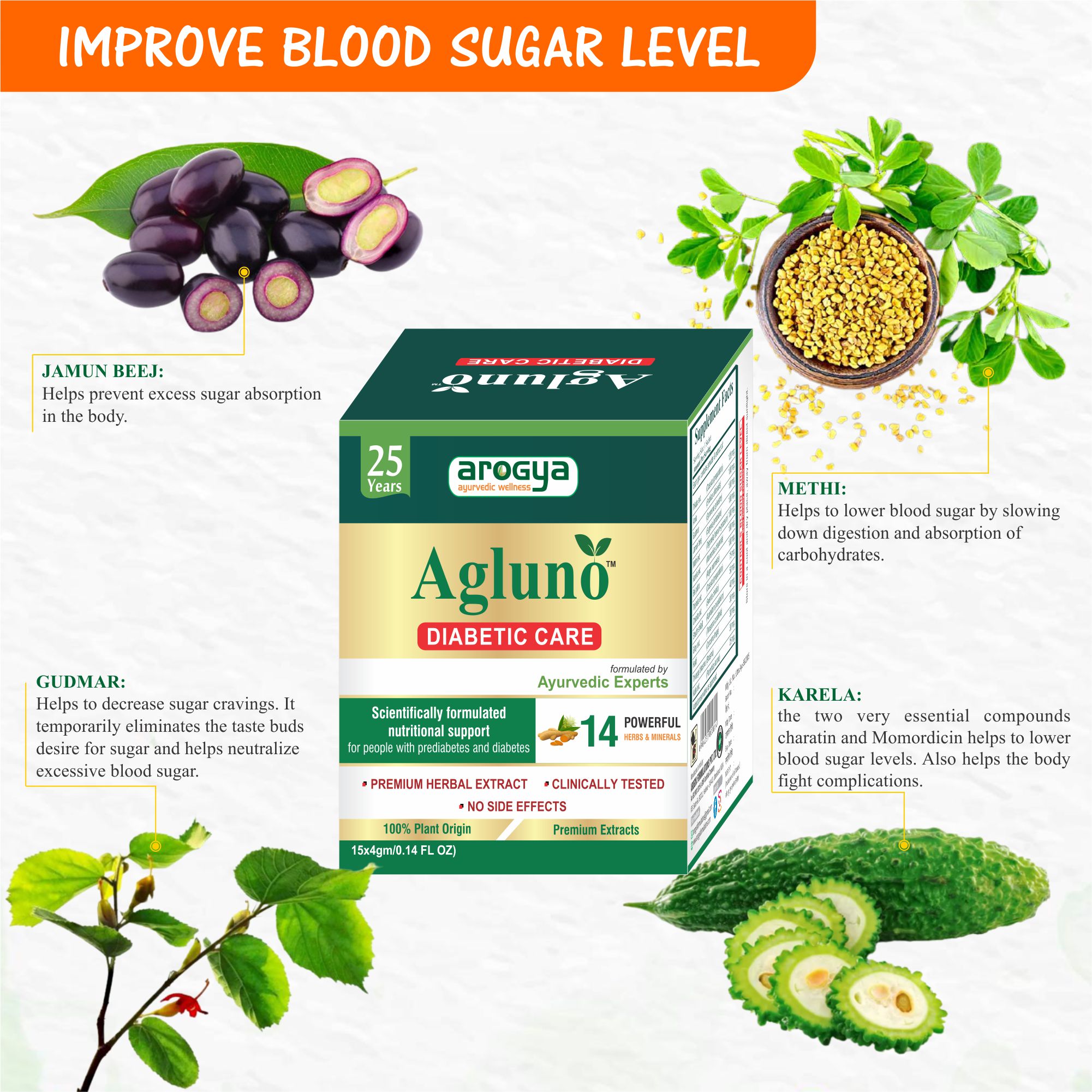 Arogya Agluno Powder for Diabetic Care 15 sachets of 4gm Each - Image 7