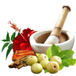 Third-Party Ayurvedic Manufacturing in Uttarakhand
