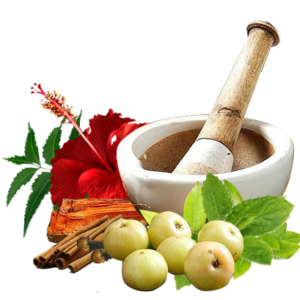 Third-Party Ayurvedic Manufacturing in Uttarakhand