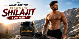 Benefits of Shilajit for Men