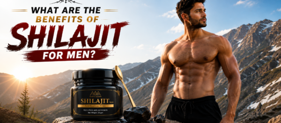 Benefits of Shilajit for Men